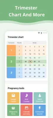 Pregnancy Tracker android App screenshot 1